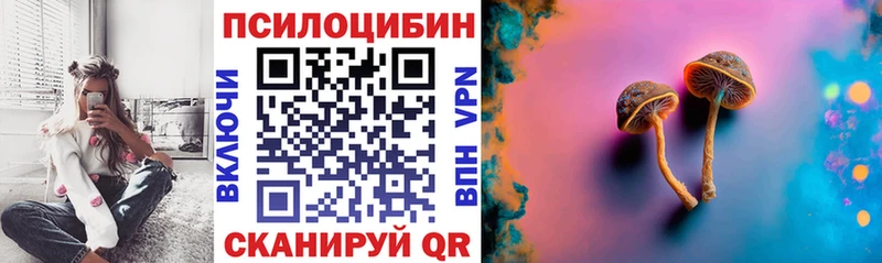 закладка  Юрьевец  Псилоцибиновые грибы Magic Shrooms 